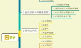 猛男炒饭爆料视频大全集,爆笑美食盛宴，笑料横生！