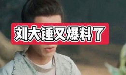 爆料娱乐圈刘大锤,揭秘明星背后的惊人真相