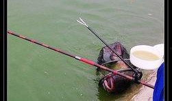 钓鱼爆料视频最新版本