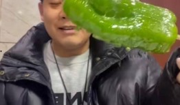 网红蔡二哥吃瓜视频大全,揭秘网红圈幕后故事