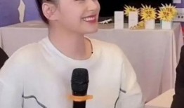 港媒爆料赖弘国简介视频,揭秘明星婚姻背后的故事