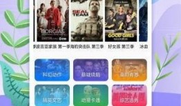 缅甸爆料视频完整版下载,揭秘真相与内幕