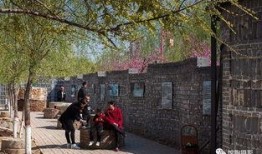 小镇春色在线观看