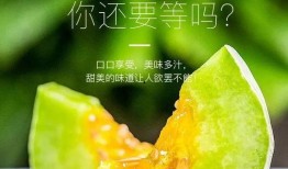 网红吃瓜记录最新,盘点那些年我们追过的热点事件