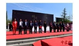 央视新闻爆料政府吗,真相与启示