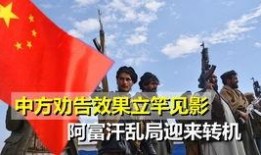 广东省今日一线爆料,揭秘热点事件背后真相