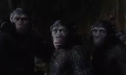 猿人崛起在线观看,探寻人类进化奥秘的视觉之旅