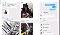 爆料营销号教程视频,如何打造爆款营销号视频