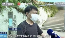 网红吃瓜情侣是谁,揭秘背后的真相与争议