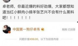 娱乐大爆料卓伟,娱乐圈幕后大事件大爆料