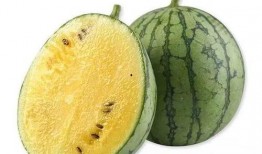 黄色瓜免费吃瓜,免费尝鲜！黄色瓜盛宴等你来瓜