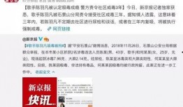鹏程哥哥最新爆料视频,揭秘幕后真相，带你走进事件核心