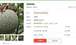 娱乐吃瓜酱爵位,揭秘爵位背后的传奇故事