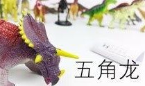 恐龙视频爆料下载大全,揭秘史前巨兽的神秘世界