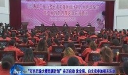 万州新闻 爆料网,聚焦热点事件，揭示社会真相