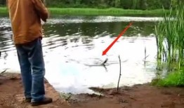 钓鱼爆料视频最新版本