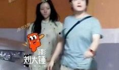 最新刘大锤爆料新闻视频,揭秘事件背后惊人真相