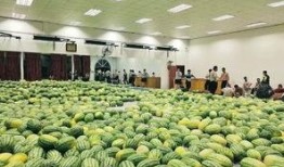 新瓜最新爆料学校,新瓜爆料揭开校园神秘面纱”