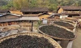 郑州保合寨最新爆料消息,揭秘神秘事件背后的真相
