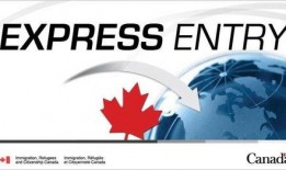 加拿大高管爆料视频,揭秘企业内幕与行业真相