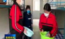 蓬莱新闻爆料事件最新,真相与舆论的交织