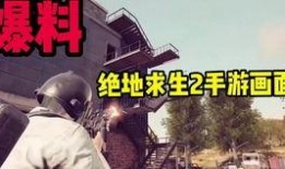 萌少爆料视频,视频内容深度解析