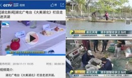 湖北欠薪媒体爆料视频,媒体曝光揭露劳动者权益受损现状