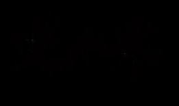 老中医直播爆料视频,养生秘方大公开！