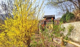 小镇春色在线观看