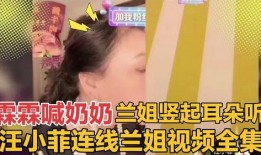 汪小菲爆料合集视频播放,揭秘明星背后的真实生活