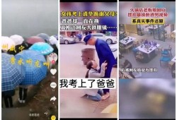 卖惨爆料视频大全最新,情感陷阱与网络舆论的较量