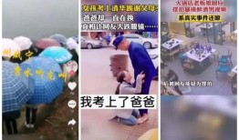 卖惨爆料视频大全最新,情感陷阱与网络舆论的较量