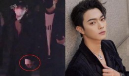 许凯恋情爆料最新情况,细节揭秘，网友热议！”