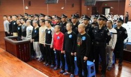 广西法治新闻爆料,聚焦法治进程，守护公平正义