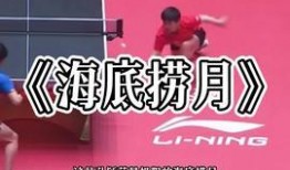 今日头条豆腐爆料视频,揭秘热门事件背后真相