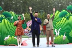 冠县受骗爆料视频最新消息,最新揭露骗局细节及受害者心声