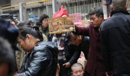 西安集市爆料事件视频播放,一探究竟的街头风云