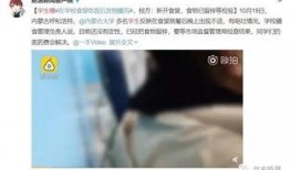 学生食堂事件爆料视频大全,真相与反思