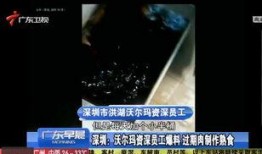 深圳工业区爆料事件视频,揭秘背后惊人真相