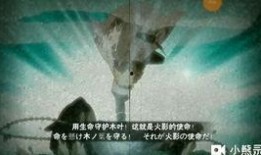 截拳李忍者爆料视频在线观看,揭秘截拳道精髓与实战技巧