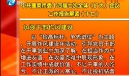 蓬莱新闻爆料事件最新,真相与舆论的交织
