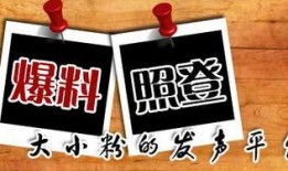 周四最新爆料新闻,揭秘重大新闻背后的惊人真相