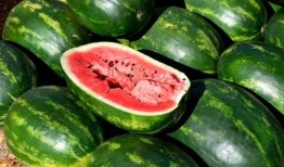 吃瓜爆料素材下载安装最新,吃瓜爆料素材背后的秘密，最新下载安装指南