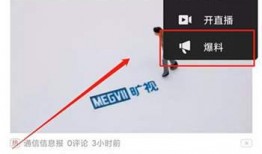 哪里可以看到爆料视频,揭秘爆料视频背后的真相与内幕
