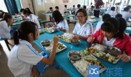 学生食堂事件爆料视频大全,真相与反思