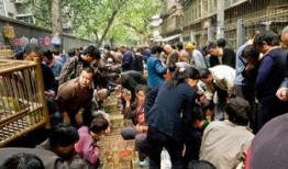 西安集市爆料事件视频播放,一探究竟的街头风云