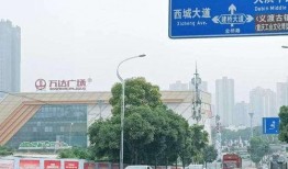 大渡口最新爆料新闻头条,最新爆料揭示惊人真相