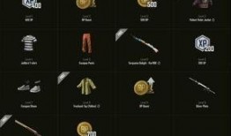 绝地求生通行证最新爆料,揭秘神秘内容与升级亮点