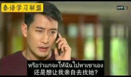 泰剧绝味风配在线观看,一场味蕾与爱情的浪漫邂逅